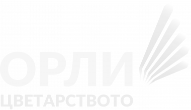 Орли на цветарството